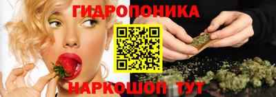 apvp Краснодар