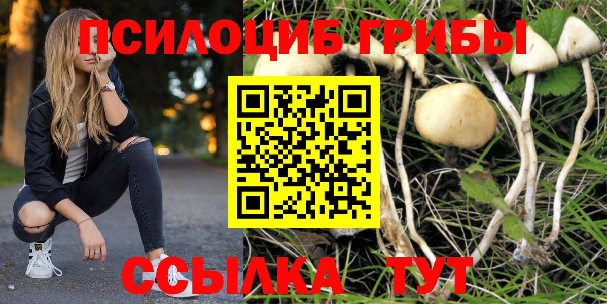 Ессентуки  Псилоцибиновые грибы мухоморы  Галлюциногенные грибы ЛСД  дарнет шоп  Вход с VPN 