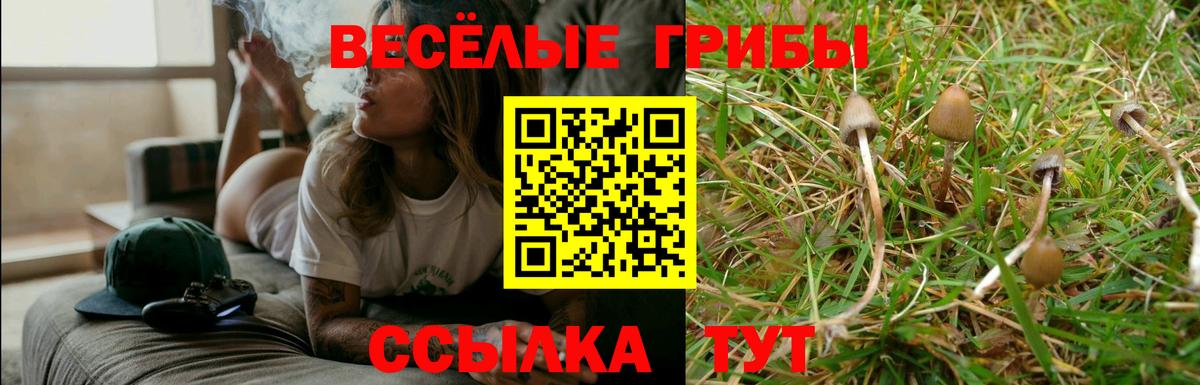 Псилоцибиновые грибы ЛСД Ессентуки